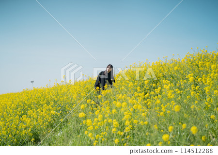 強姦花田和婦女 114512288