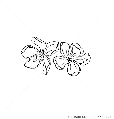 ai15770081076_Floral clip art-01.eps ai15770081076_Floral clip art-01.eps 114512798