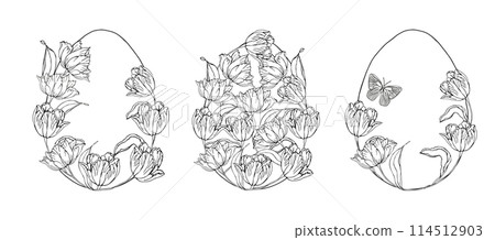 Easter egg set with tulips flower background, hand drawn floral elements for spring holiday. Black and white line art compositions for coloring page. Vector illustrations for card or invitations 114512903
