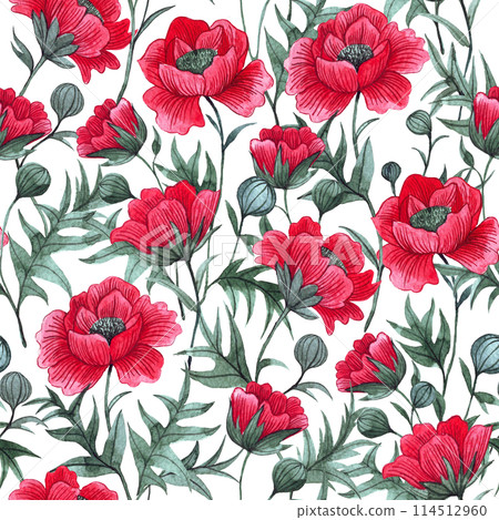 pattern with red poppies on a white background. watercolor seamless print with wildflowers 114512960