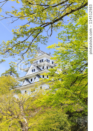 Gujo Hachiman Castle surrounded by fresh greenery Gujo Hachiman Castle surrounded by fresh greenery 114512983