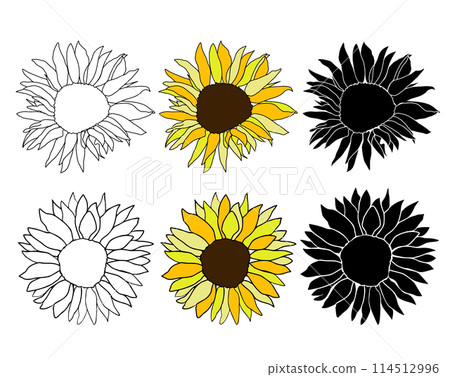 Sunflower head hand drawn elements set for design. Silhouette, line art black ink and colorful flower. Vector clip art for logo, coloring page, isolate on white background 114512996