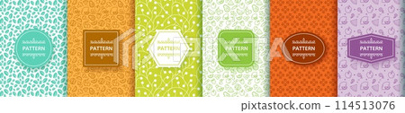 Food patterns. Healthy vegan fruit icons. Organic health diet logo. Green or detox vegetarian line floral label. Vegetable products. Botanical package stickers. Vector backgrounds set 114513076