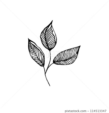 Floral doodle elements hand drawn for logo or tatoo 114513347