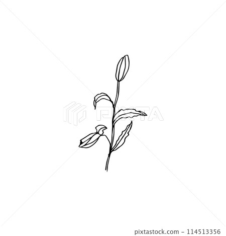 Floral clip art-06.eps Floral clip art-06.eps 114513356