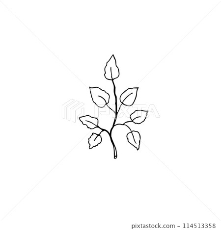 Floral leaves clip art 114513358