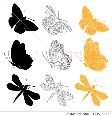 Butterfly black ink line art and detail silhouette illustrations for cutting. Insect set for coloring page, tattoo, hand drawn stickers. Vector illustration, isolate on white background Butterfly black ink line art and detail silhouette illustrations for cutting. Insect set for coloring page, tattoo, hand drawn stickers. Vector illustration, isolate on white background 114513636