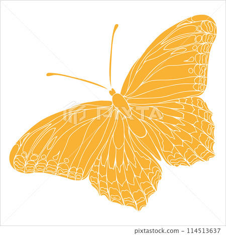 Butterfly yellow silhouette art illustration. Insect butterfly for stickers, tattoo, silhouette, scrapbook. Winged gorgeous animal. Vector hand drawn illustration, isolate on white background Butterfly yellow silhouette art illustration. Insect butterfly for stickers, tattoo, silhouette, scrapbook. Winged gorgeous animal. Vector hand drawn illustration, isolate on white background 114513637