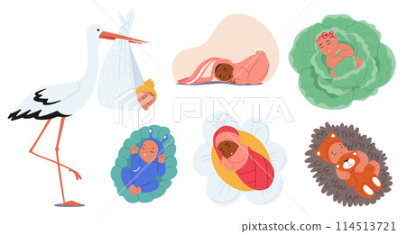 Set Of Vector Illustrations Featuring Serene Babies In Various Adorable Settings. Nestled In Cabbage, With A Stork 114513721