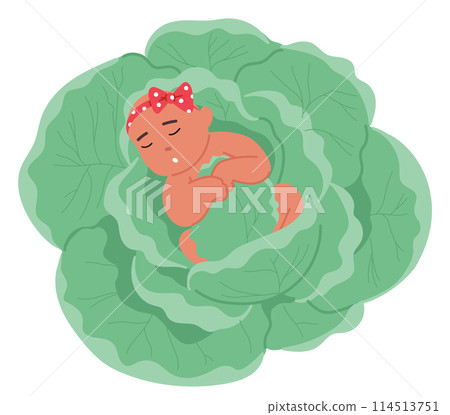 Cute, Peaceful Baby Character With A Polka-dot Bow, Comfortably Napping On A Bed Of Green Cabbage Leaves, Vector 114513751