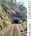 Tunnel and track 114514517