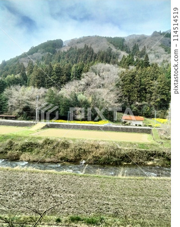 Spring fields and red bridge Spring fields and red bridge 114514519