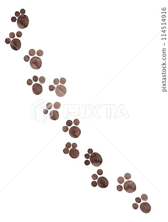 Traces of felines. Animal trail. Cartoon style. Watercolor creative sketch 114514916