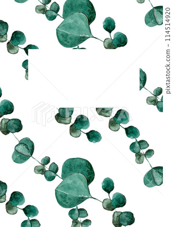 Green eucalyptus. Vintage template for banner design. Artistic wallpaper. Fashionable case, great design for any purpose. Spring flora. Botanical illustration. Colorful pattern 114514920