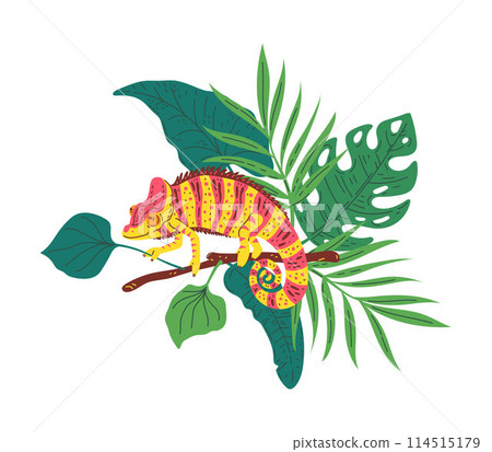 Cute small striped colorful chameleon on branch with tropical leaves, vector cartoon predator lizard animal, exotic pet 114515179