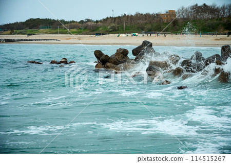 A beach 114515267