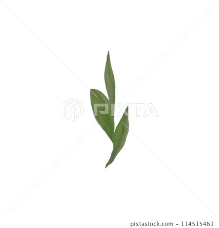 Floral clip art Floral clip art 114515461