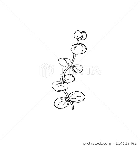 Floral clip art 114515462