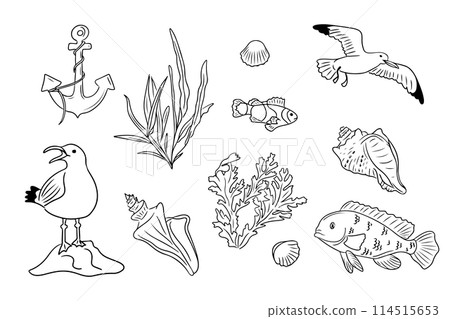 Summer seaside doodle set with seagulls and underwater life. Collection of sketchy contour drawings isolated on white background. Monochrome black outline stickers Summer seaside doodle set with seagulls and underwater life. Collection of sketchy contour drawings isolated on white background. Monochrome black outline stickers 114515653