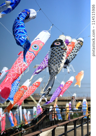 Carp streamer Carp streamer 114515986
