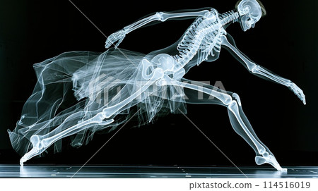 Running Skeleton in X-ray View Displaying Detailed Bone Structure Running Skeleton in X-ray View Displaying Detailed Bone Structure 114516019