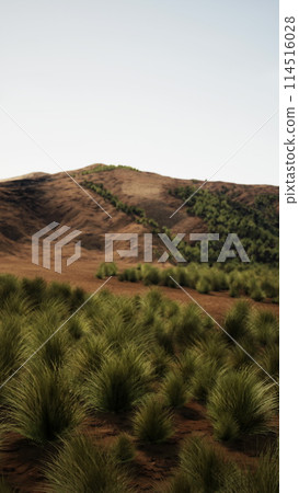 Verdant Field With Towering Mountain Verdant Field With Towering Mountain 114516028