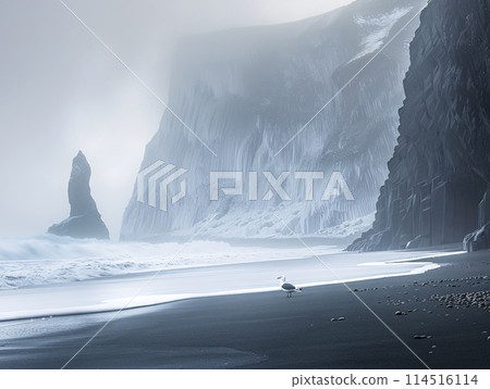 Solitary Seagull on a Moody, Misty Beach with Towering Cliffs 114516114