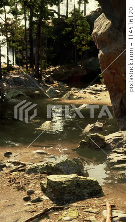Small Stream Flowing Through Rocky Forest Small Stream Flowing Through Rocky Forest 114516120