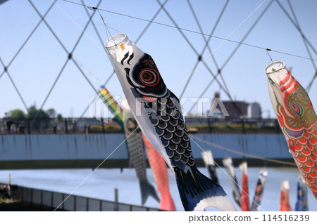 鯉魚旗 鯉魚旗 114516239