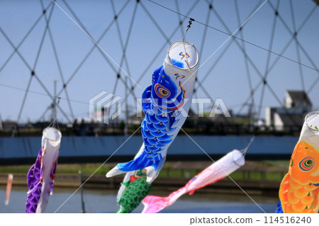 鯉魚旗 鯉魚旗 114516240