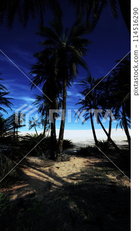 Beach With Palm Trees and Ocean Beach With Palm Trees and Ocean 114516290