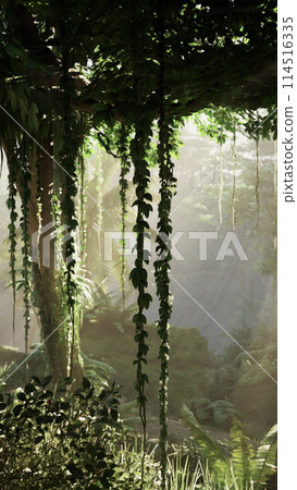 Dense Green Forest Full of Trees 114516335