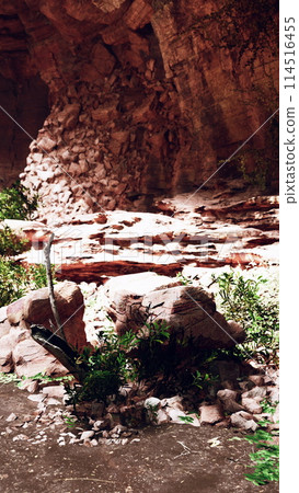 Rock Formation Amidst Canyon 114516455