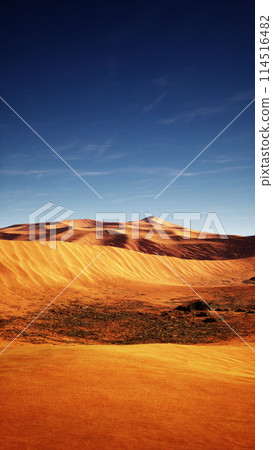 Desert Landscape With Sand Dunes and Blue Sky 114516482
