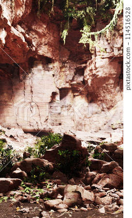 Rocky Area With Plants and Rocks Rocky Area With Plants and Rocks 114516528