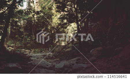 Scenic Dirt Road Surrounded by Trees and Rocks. mountain path Scenic Dirt Road Surrounded by Trees and Rocks. mountain path 114516641