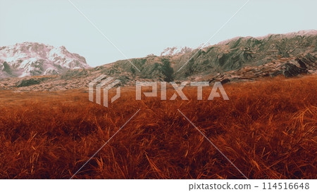 Grassy Field With Majestic Mountains Grassy Field With Majestic Mountains 114516648