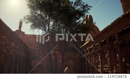 Sun Shines Through Trees in Courtyard 114516678
