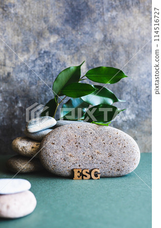 ESG concept wooden letters near a stone and branches with leaves on a green vertical view 114516727