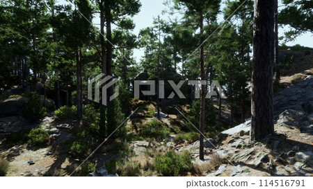 A group of trees sitting on top of a rocky hillside 114516791