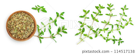 Dried thyme leaves in the wooden bowl, with fresh thyme isolated on white background. Top view Dried thyme leaves in the wooden bowl, with fresh thyme isolated on white background. Top view 114517138