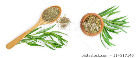 tarragon or estragon fresh and dried in wooden spoon and bowl isolated on a white background with copy space for your text. Top view. Flat lay tarragon or estragon fresh and dried in wooden spoon and bowl isolated on a white background with copy space for your text. Top view. Flat lay 114517146