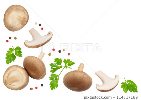 Fresh Shiitake mushroom isolated on white background . Top view with copy space for your text. Flat lay 114517169