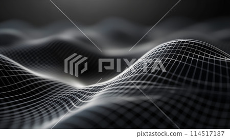 Abstract Digital Mesh Landscape in Monochrome With Curving Lines and Dark Background 114517187