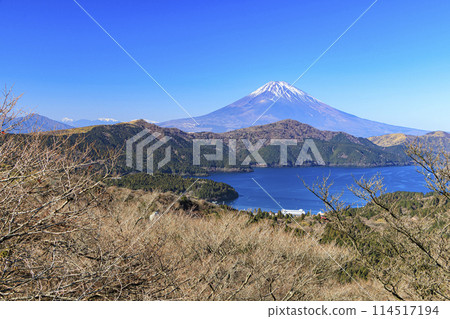 Mount Fuji (winter) photographed from Mount Daikanzan in Hakone, Shimoashigara District, Kanagawa Prefecture Mount Fuji (winter) photographed from Mount Daikanzan in Hakone, Shimoashigara District, Kanagawa Prefecture 114517194