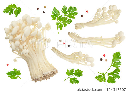 Enoki mushroom, Golden needle mushroom isolated in white background with full depth of field. Enoki mushroom, Golden needle mushroom isolated in white background with full depth of field. 114517207