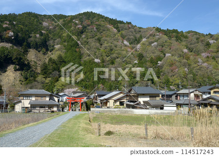 Yase Hachiman Shrine, approach to the shrine and spring mountains, Sakyo Ward, Kyoto City 114517243