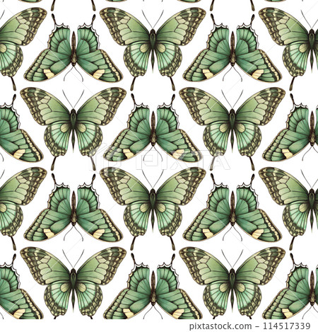 A colorful butterfly seamless pattern with various shades of blue, green, and red. The butterflies are arranged in a way that creates a sense of movement and harmony. Scene is one of joy and beauty 114517339