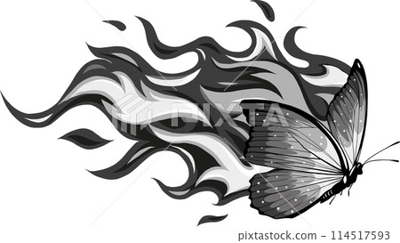 monochrome butterfly with flames on white background 114517593