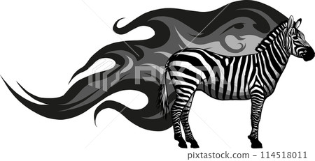 monochrome African Zebra with flames vector illustration draw 114518011
